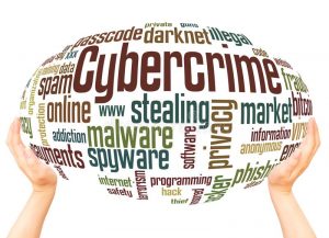 Cyber Crime-