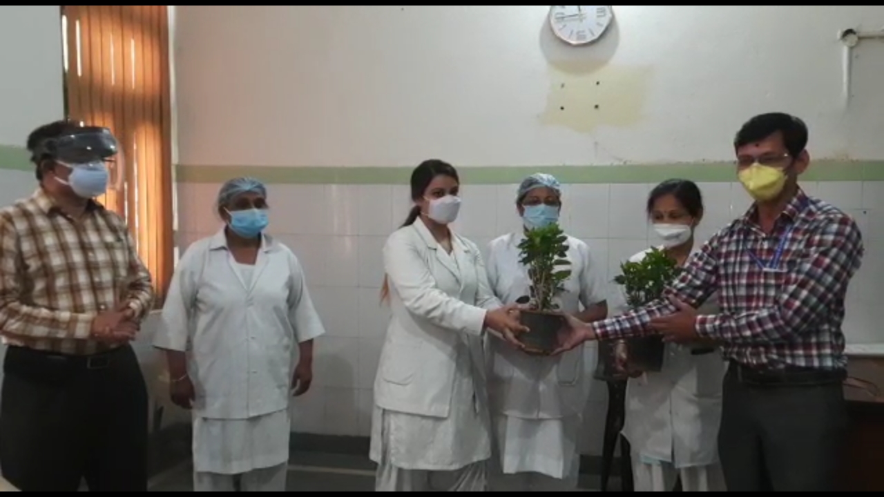 'अंतर्राष्ट्रीय नर्स डे' नर्सो को पौधे देकर किया संम्मानित