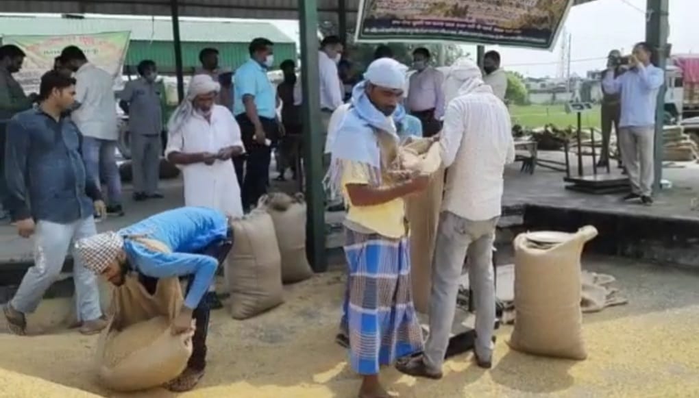 उत्तराखंड की मंडियों में शुरू हो गई 'धान खरीद केन्द्रो' पर धान की खरीद शुरू